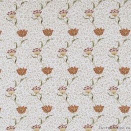 Ткань Morris / GARDEN TULIP Rose/Lichen - DM6E230336
