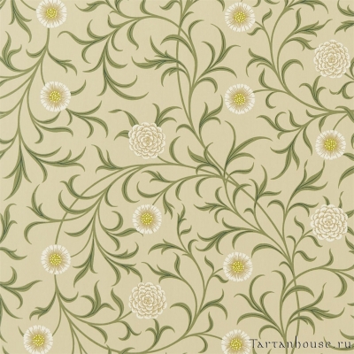 Ткань Morris / SCROLL Loden/Thyme - DM6F220308